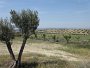 035 Bardenas reales